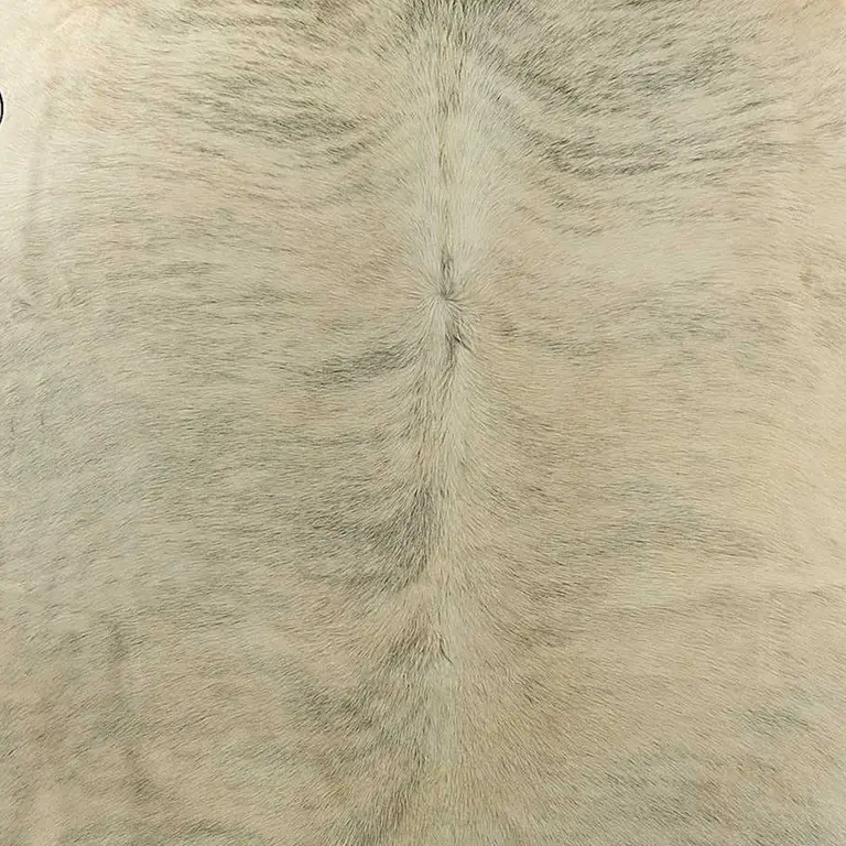 Light Taupe and Brown Exotic Cowhide  Rug Photo 1