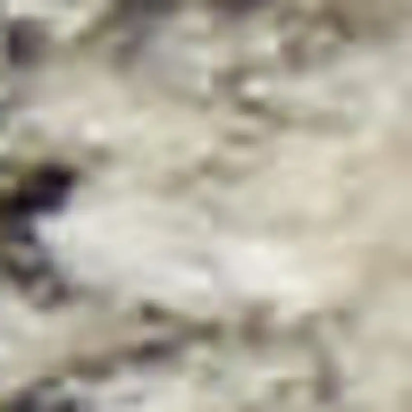 10' Black Abstract Power Loom Runner Rug Photo 1