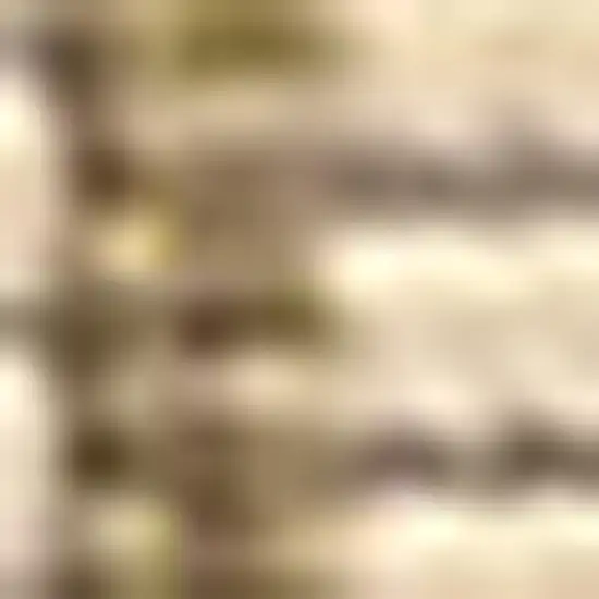 8' Beige And Brown Medallion Indoor Outdoor Runner Rug Photo 2