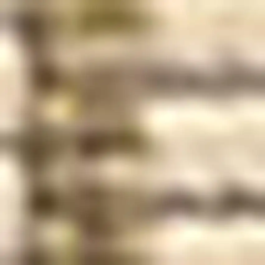 8' Beige And Brown Medallion Indoor Outdoor Runner Rug Photo 2