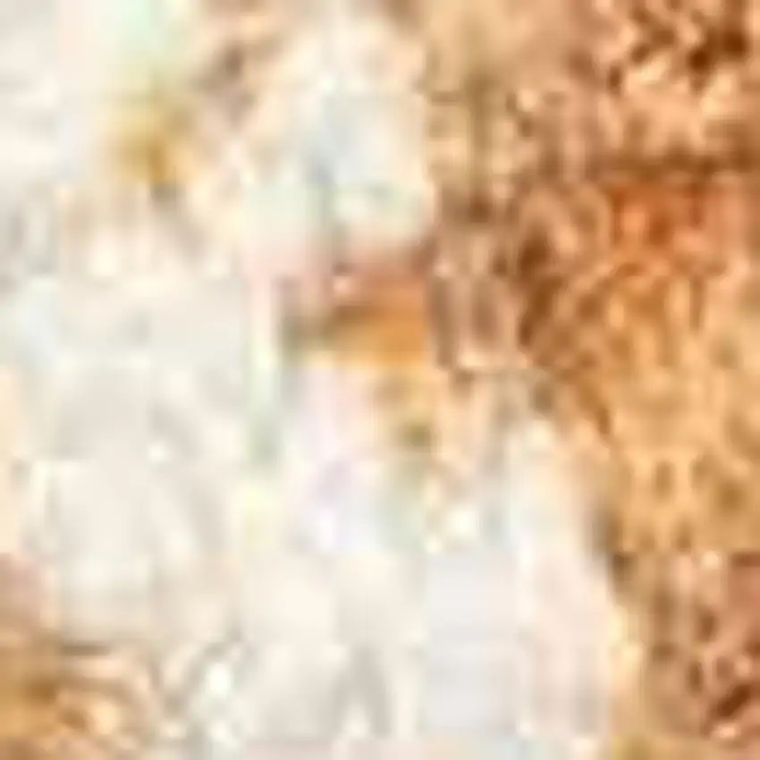 8' Beige And Orange Coral Round Rug Photo 9