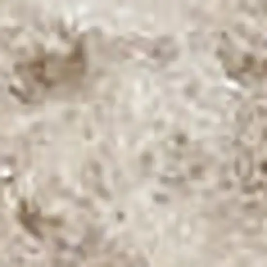 10' Beige Geometric Power Loom Runner Rug Photo 4