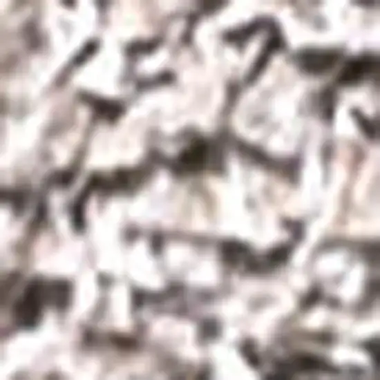 10' Beige Runner Rug Photo 2