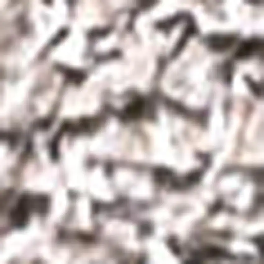 10' Beige Runner Rug Photo 2