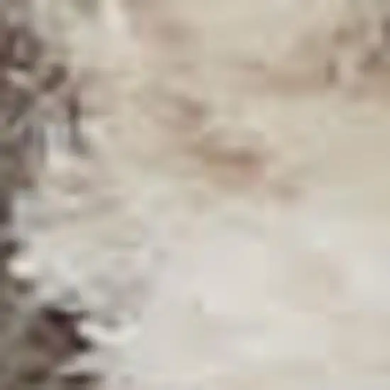 4' Beige and Gray Square Medallion Power Loom Distressed Area Rug Photo 1