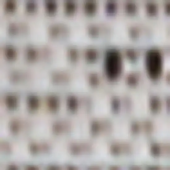 8' Black And Cream Indoor Outdoor Runner Rug Photo 2