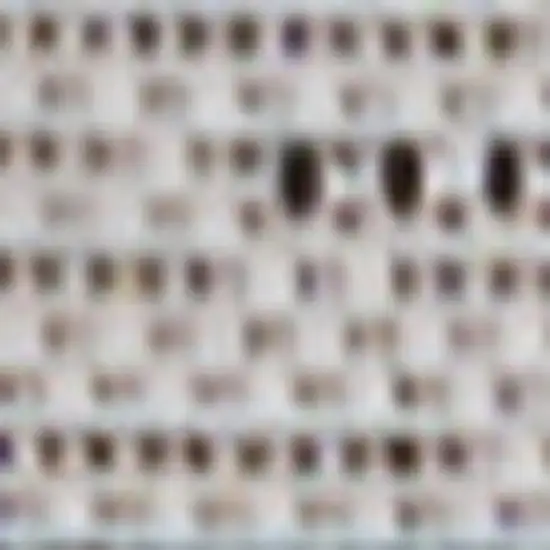 8' Black And Cream Indoor Outdoor Runner Rug Photo 3