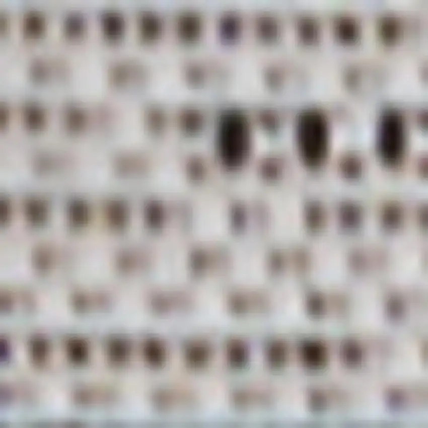 8' Black And Cream Indoor Outdoor Runner Rug Photo 3