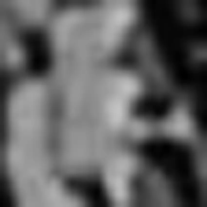 8' Black And Gray Indoor Outdoor Runner Rug Photo 3