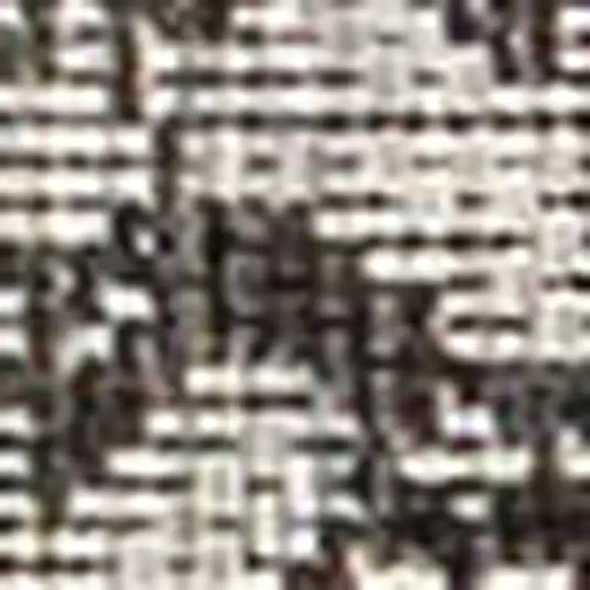 8' Black And Gray Medallion Indoor Outdoor Runner Rug Photo 2