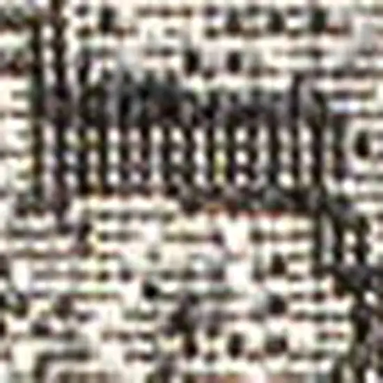 10' Black And Gray Medallion Indoor Outdoor Runner Rug Photo 2