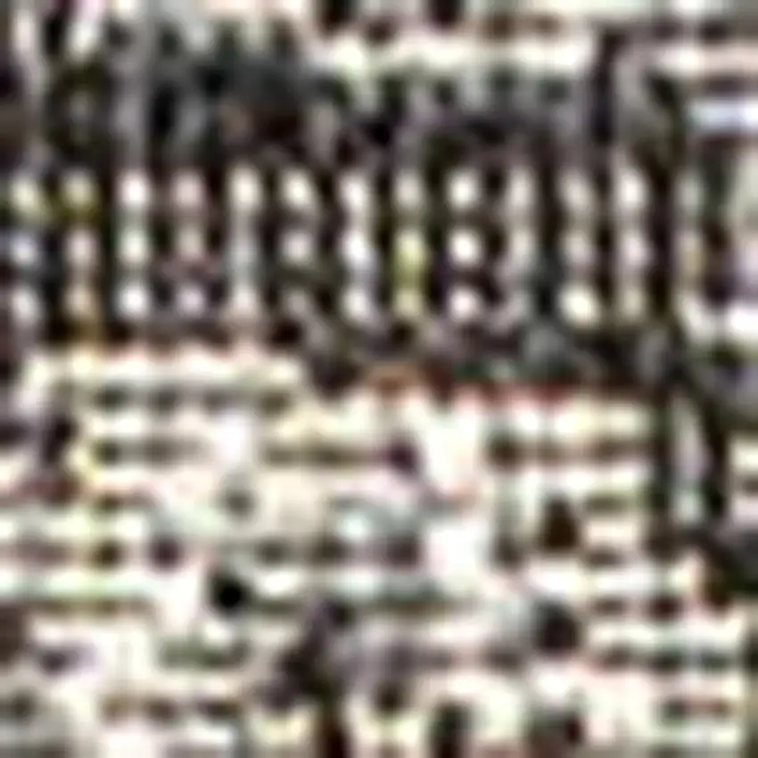 8' Black And Gray Medallion Indoor Outdoor Runner Rug Photo 2