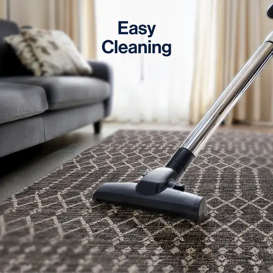 4' Black And Gray Square Trellis Indoor Outdoor Area Rug Photo 5