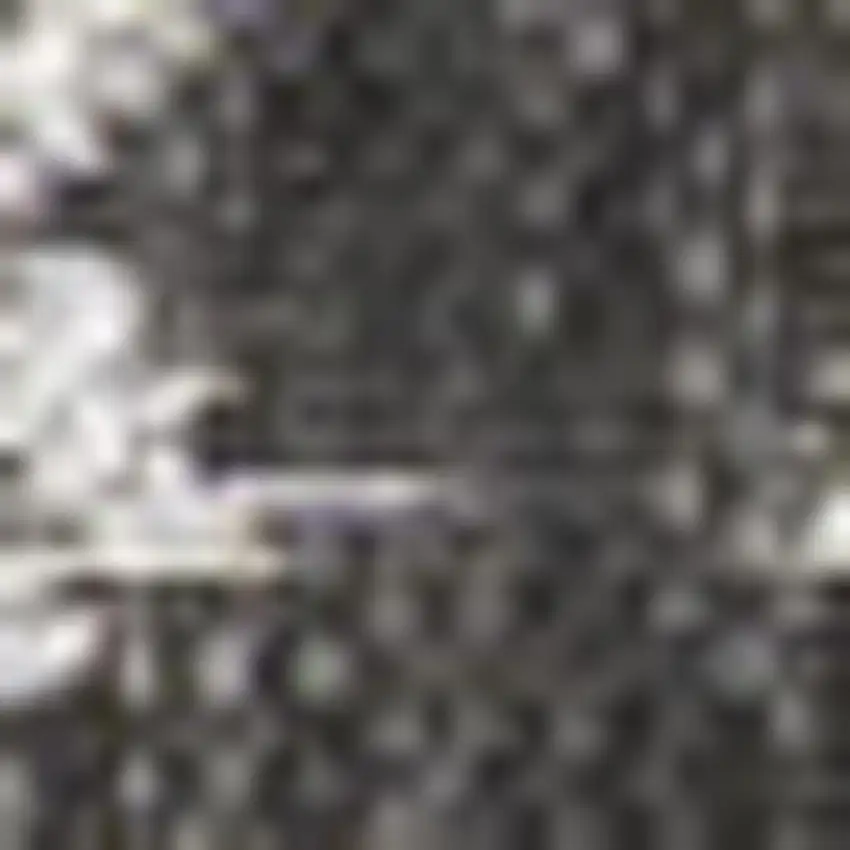 4' Black And Gray Square Trellis Indoor Outdoor Area Rug Photo 2