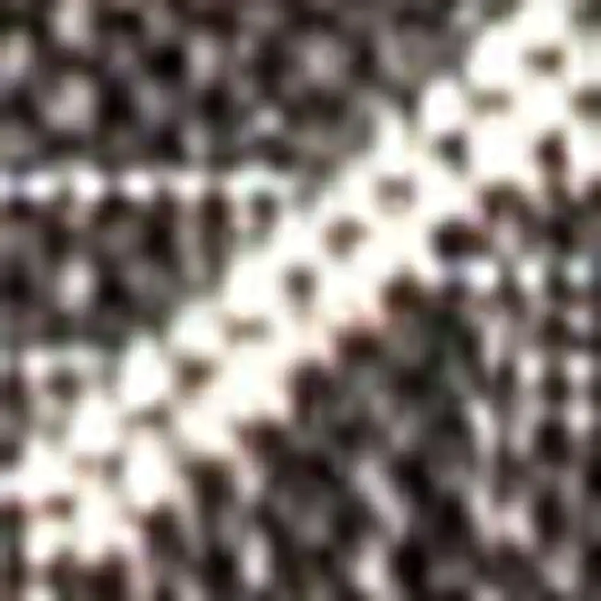 8' Black And Gray Trellis Indoor Outdoor Runner Rug Photo 2