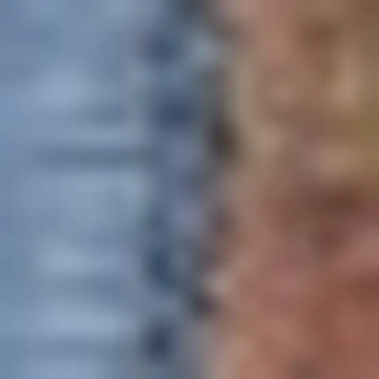 8' Blue And Brown Seashell and Coral Non Skid Runner Rug Photo 2