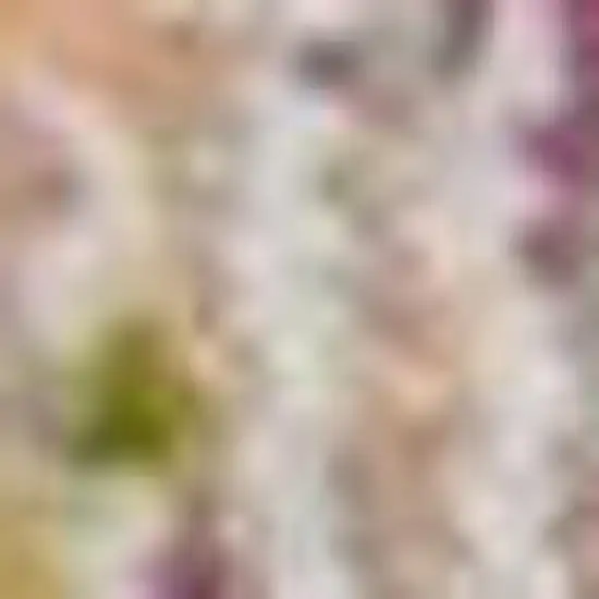 6' Blue and Red Floral Distressed Non Skid Runner Rug Photo 3