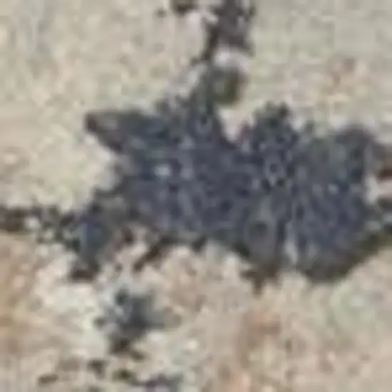 8' Blue and Red Floral Distressed Runner Rug Photo 3