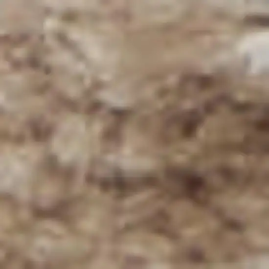 12' Brown Abstract Power Loom Runner Rug Photo 4