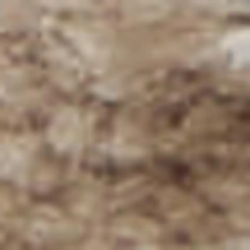 20' Brown Abstract Power Loom Runner Rug Photo 4