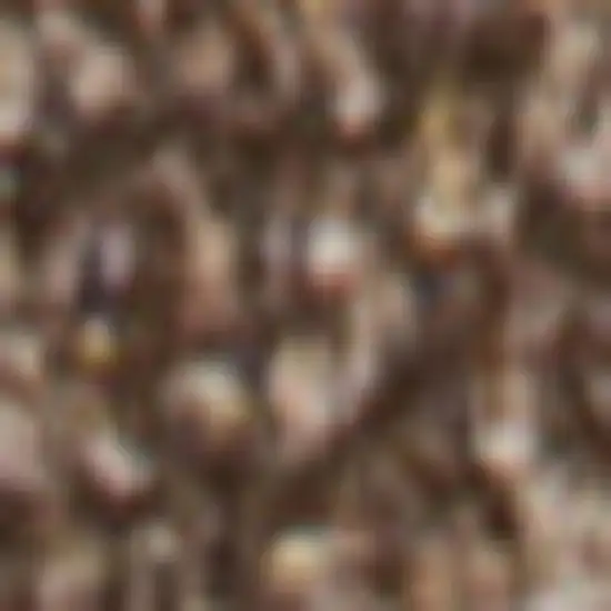 10' Brown Runner Rug Photo 4