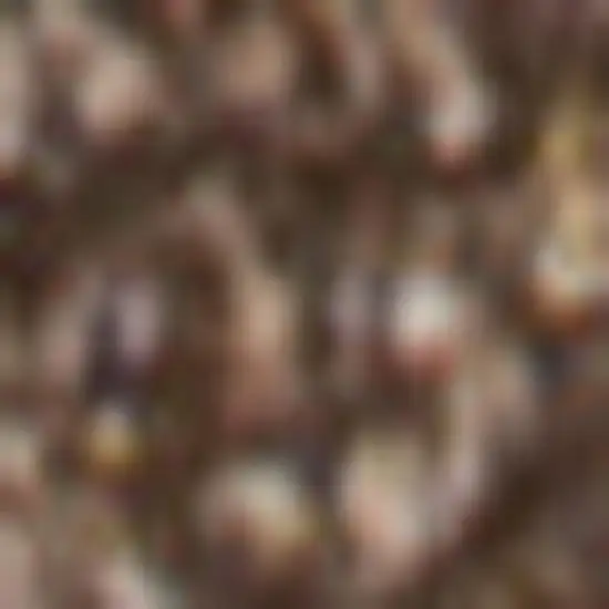 10' Brown Runner Rug Photo 3