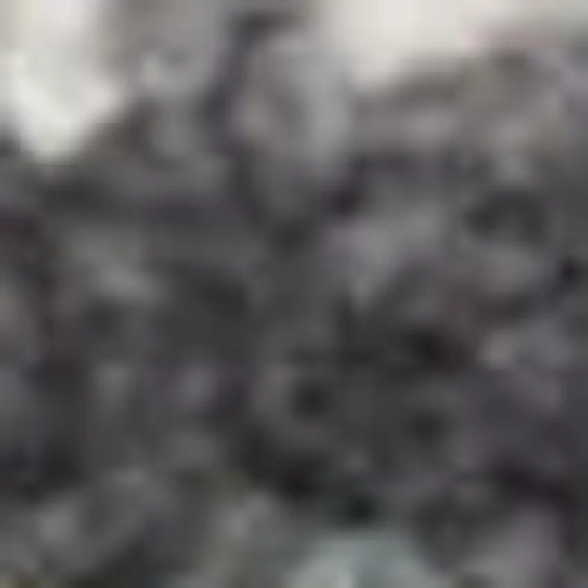 8' Charcoal Brown And Ivory Floral Distressed Runner Rug With Fringe Photo 2