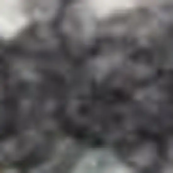 10' Charcoal Brown And Ivory Floral Distressed Runner Rug With Fringe Photo 2