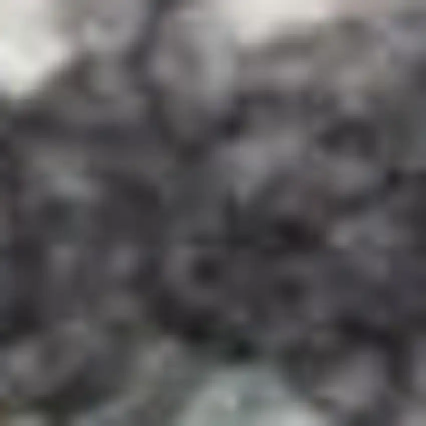 10' Charcoal Brown And Ivory Floral Distressed Runner Rug With Fringe Photo 2