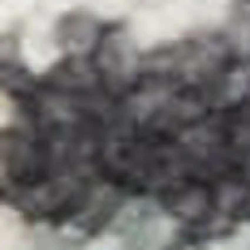 10' Charcoal Brown And Ivory Floral Distressed Runner Rug With Fringe Photo 3