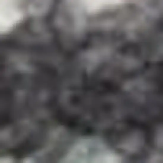 12' Charcoal Brown And Ivory Floral Distressed Runner Rug With Fringe Photo 2