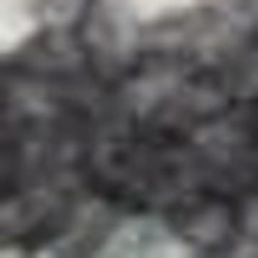 12' Charcoal Brown And Ivory Floral Distressed Runner Rug With Fringe Photo 2