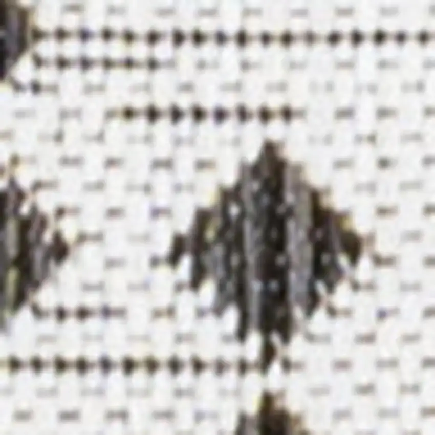 8' Cream And Black Trellis Indoor Outdoor Runner Rug Photo 2