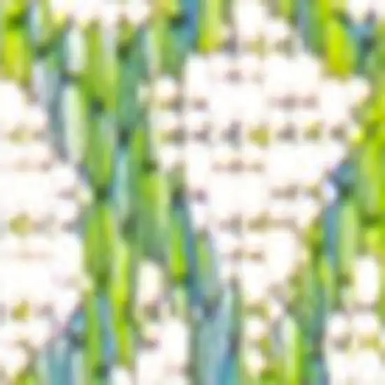 10' Cream And Green Geometric Indoor Outdoor Runner Rug Photo 2