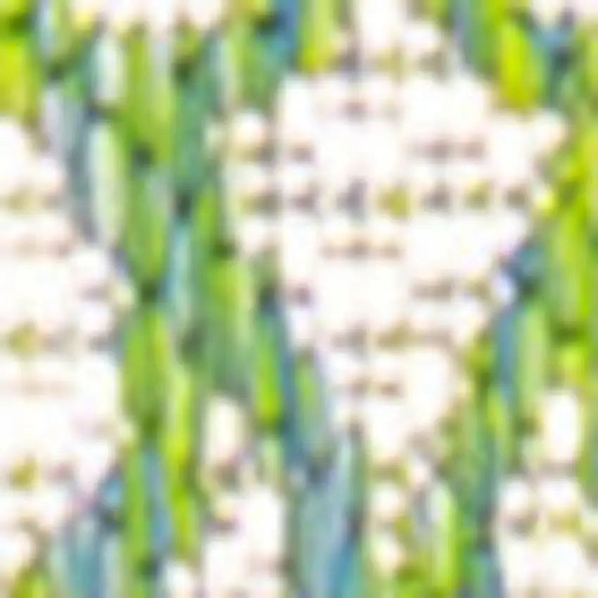 8' Cream And Green Geometric Indoor Outdoor Runner Rug Photo 2