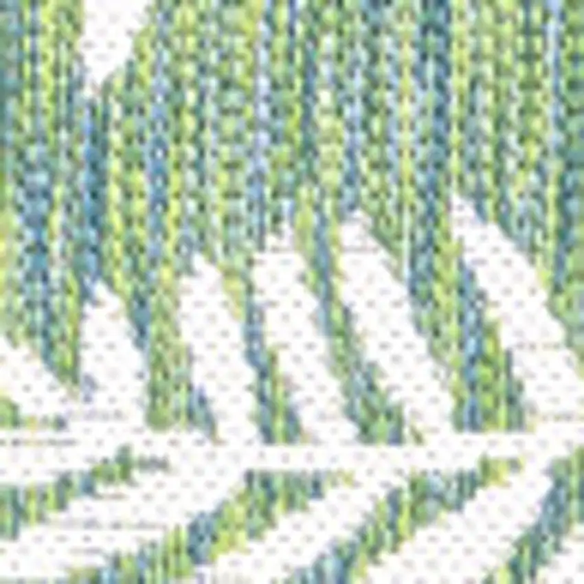 5' Cream And Green Square Floral Indoor Outdoor Area Rug Photo 2