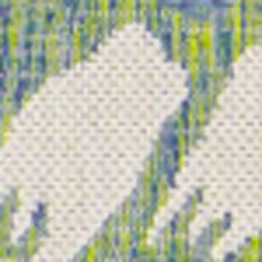 4' Cream And Green Square Floral Indoor Outdoor Area Rug Photo 2