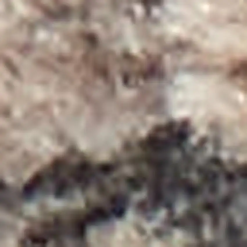 8' Cream Black and Gray Abstract Runner Rug Photo 3