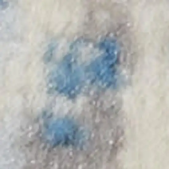 7' Cream Damask Power Loom Runner Rug Photo 1