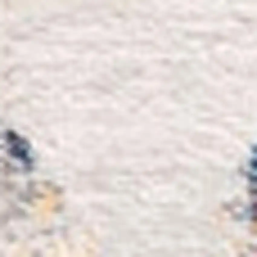 8' Cream Damask Runner Rug Photo 4