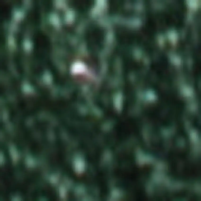 10' Emerald Runner Rug Photo 3