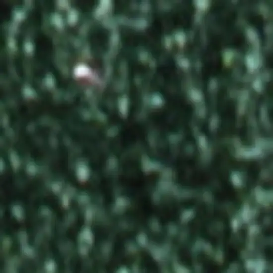 8' Emerald Runner Rug Photo 4