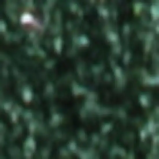 8' Emerald Runner Rug Photo 3