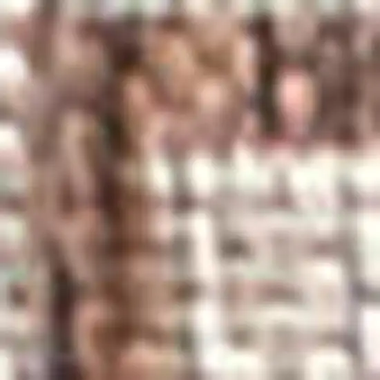 20' Espresso And Taupe Geometric Indoor Outdoor Runner Rug Photo 2