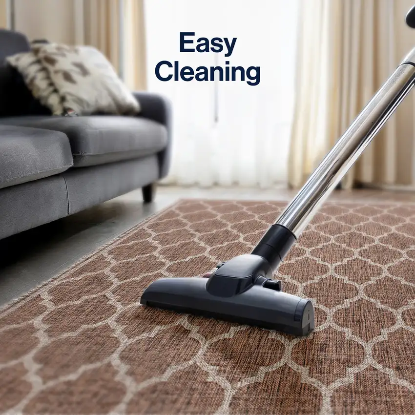 4' Espresso And Taupe Square Geometric Indoor Outdoor Area Rug Photo 5