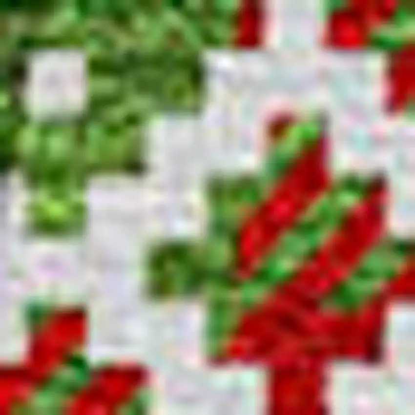 8' Fern Green Red And Ivory Round Animal Print Washable Indoor Outdoor Area Rug Photo 3