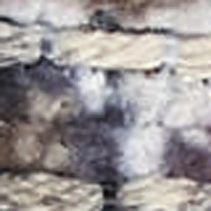 10' Green and Ivory Floral Power Loom Distressed Washable Runner Rug Photo 4