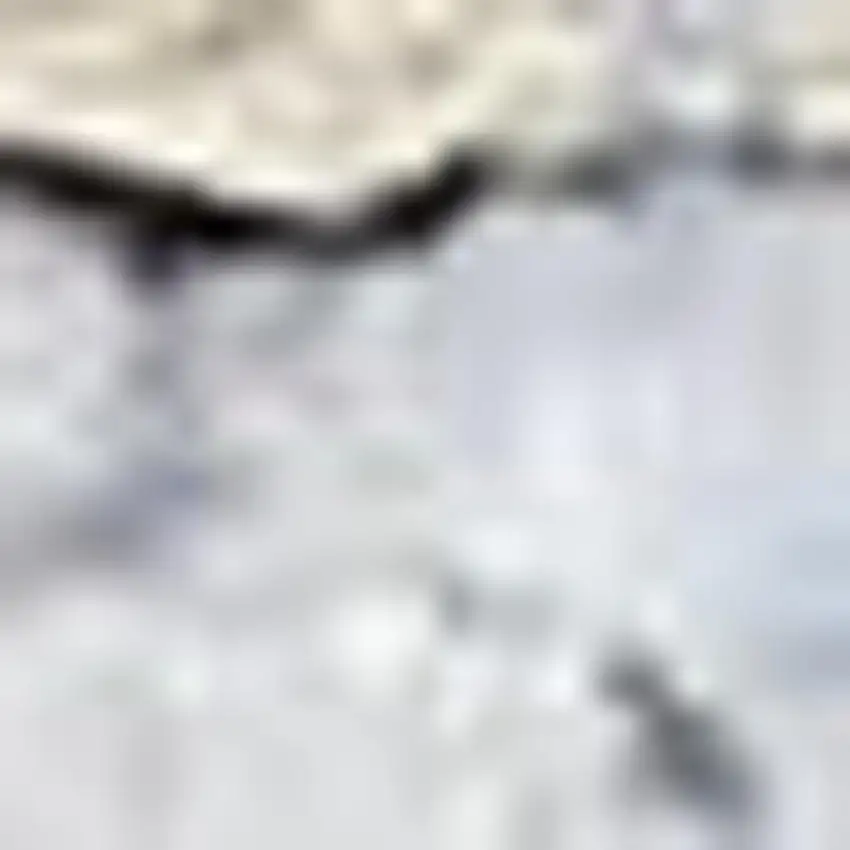 10' Blue and Ivory Floral Power Loom Distressed Washable Runner Rug Photo 3