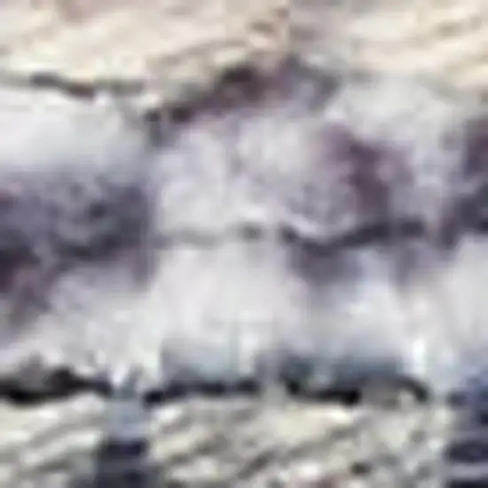 10' Blue and Ivory Floral Power Loom Distressed Washable Runner Rug Photo 3