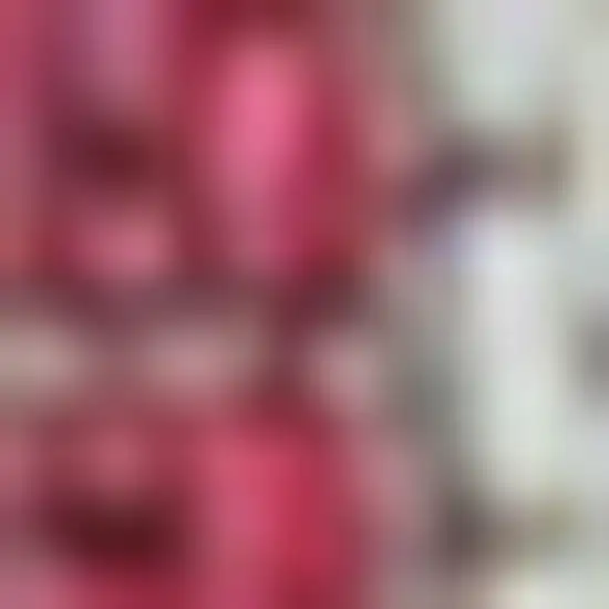 10' Fuchsia And Light Gray Geometric Indoor Outdoor Runner Rug Photo 2